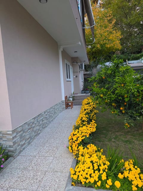 Day, Garden, Garden view