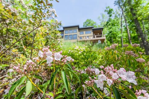 Experience Serene Lake Views at The Cove House in Fontana Lake