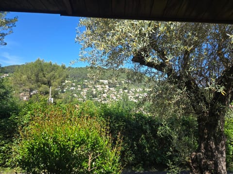 Cottage varrois Chalet in Solliès-Toucas