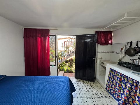 Bed, Kitchen or kitchenette, Photo of the whole room, Bedroom, pet friendly