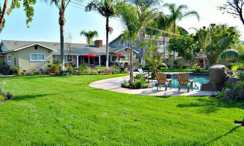Property building, Day, Pool view, Swimming pool, sunbed