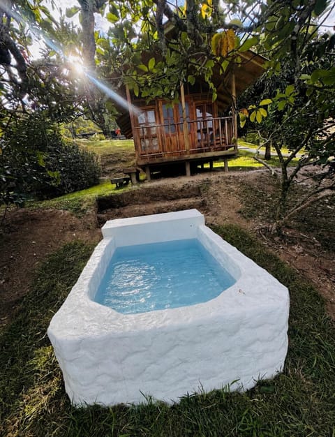Day, Natural landscape, Garden, Garden view, Swimming pool