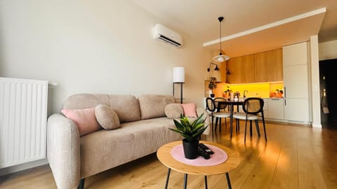 Living room, Seating area, Dining area, air conditioner