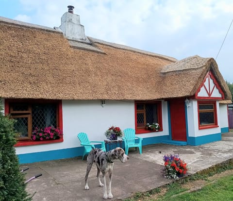 Property building, Pets