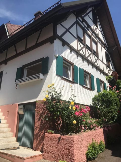 Property building, Garden view, storage