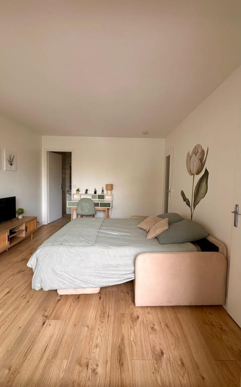 Bed, TV and multimedia, Living room