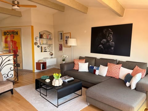 TV and multimedia, Living room, Decorative detail, Seating area