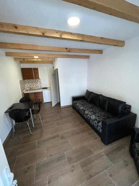 Studio Apartment in Serbia