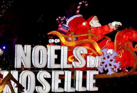 ! Magnifique Triplex climatisé Avec Sauna Cœur De Ville ! Apartment in Metz