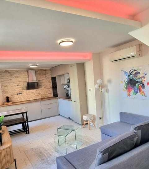 ! Magnifique Triplex climatisé Avec Sauna Cœur De Ville ! Apartment in Metz