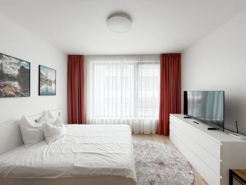 Bed, TV and multimedia
