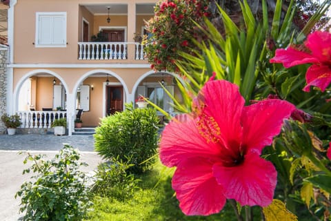 Property building, Garden, Garden view