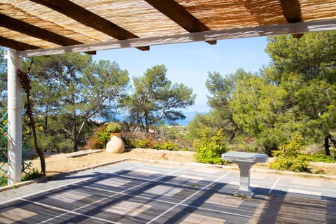 Natural landscape, Garden, Garden view