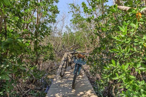 Combined Villas, Close to Beach, Secluded Pier - Blue Bayou Shores - Roelens House in Estero Island