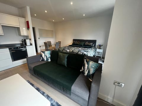 Bed, Kitchen or kitchenette, Photo of the whole room, Seating area, Dining area