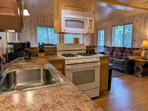 Wolf Point Cabin in Boulder Junction WI Cabin in Wisconsin