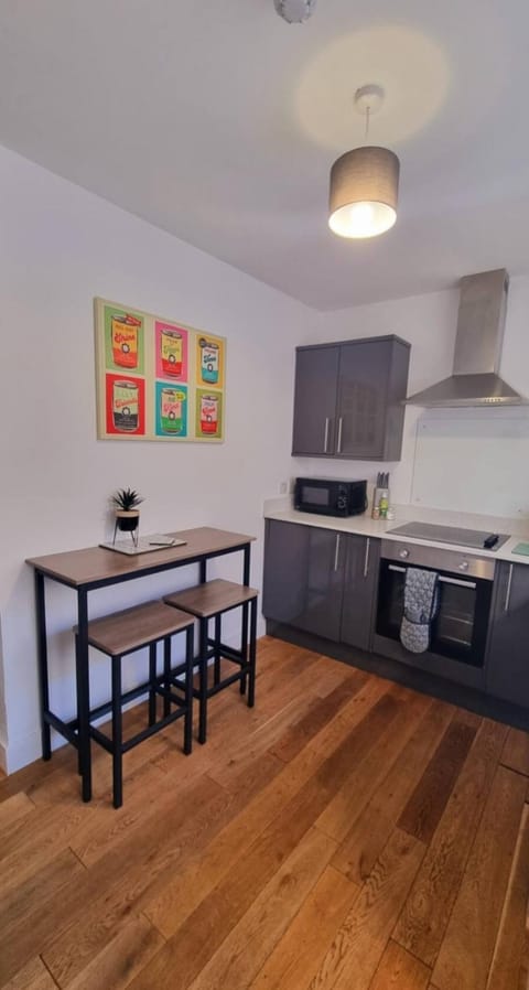 Plush Place Apartment in Swansea