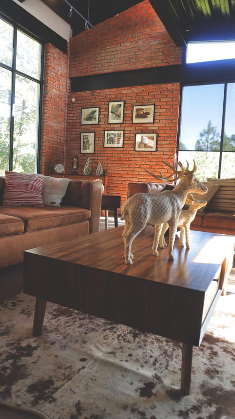 Communal lounge/ TV room, Living room