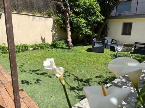 Patio, Garden, sunbed