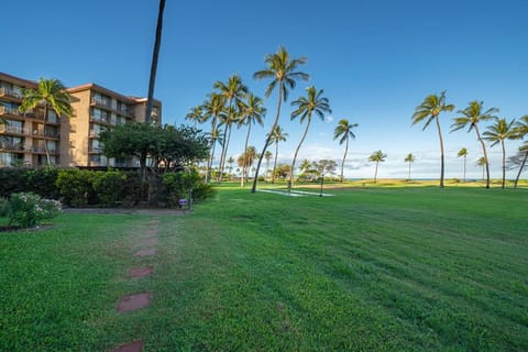 Kauhale Makai 433 by Coldwell Banker Island Vacations Apartment in Kihei