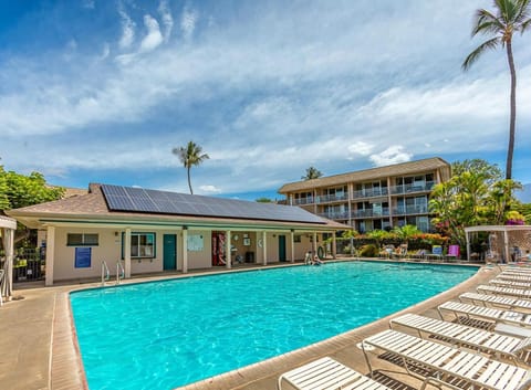Kihei Kai Nani #8-362 by Coldwell Banker Island Vacations Apartment in Wailea