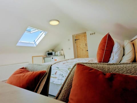 Skellig View Kerry Cliffs View Balcony Room Apartment in County Kerry