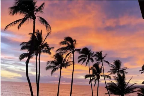 Menehune Shores 324 by Coldwell Banker Island Vacations Apartment in Kihei