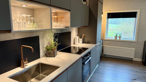 Kitchen or kitchenette, Dining area, dishwasher, stove