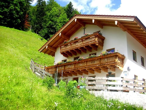 Property building, Garden, Balcony/Terrace