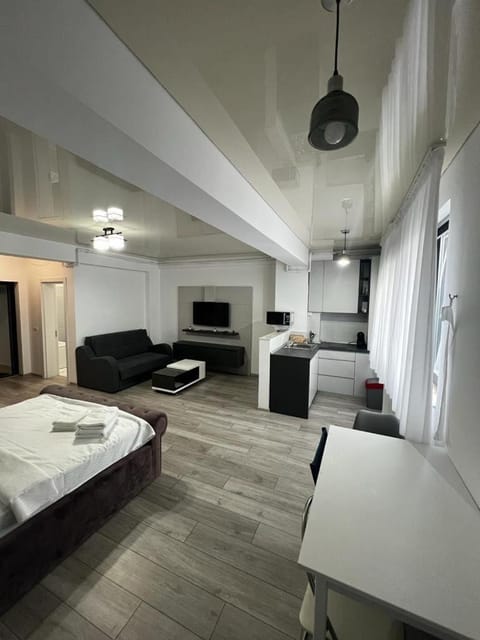 Bed, TV and multimedia, Kitchen or kitchenette, Living room, Photo of the whole room, Seating area, Bedroom