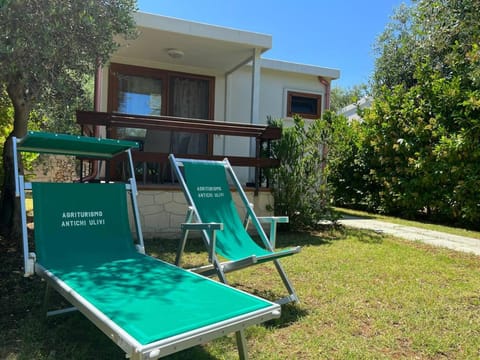 Agriturismo Antichi Ulivi Farm Stay in Province of Foggia