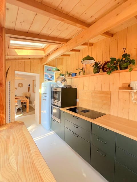 Kitchen or kitchenette, dishwasher, oven, stove