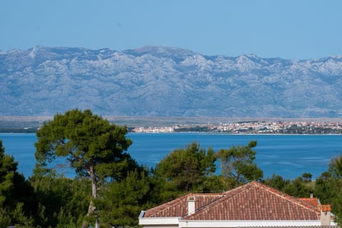 Villa Amphora Apartment in Zadar County