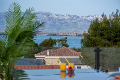 Villa Amphora Apartment in Zadar County