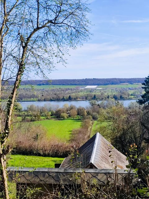 Lake view