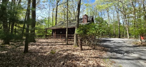 Camp Valentine- charming 3 bedroom cabin with hot tub and fireplace in private setting Cabin in Deep Creek Lake