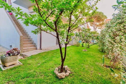 Pinohaus House in Ladispoli