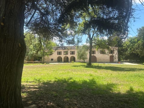 Property building, Spring, Day, Garden, Garden