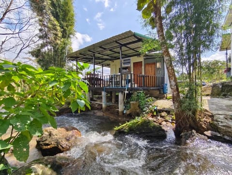Property building, Natural landscape, River view