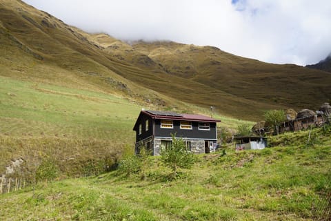 Property building, Natural landscape, Garden