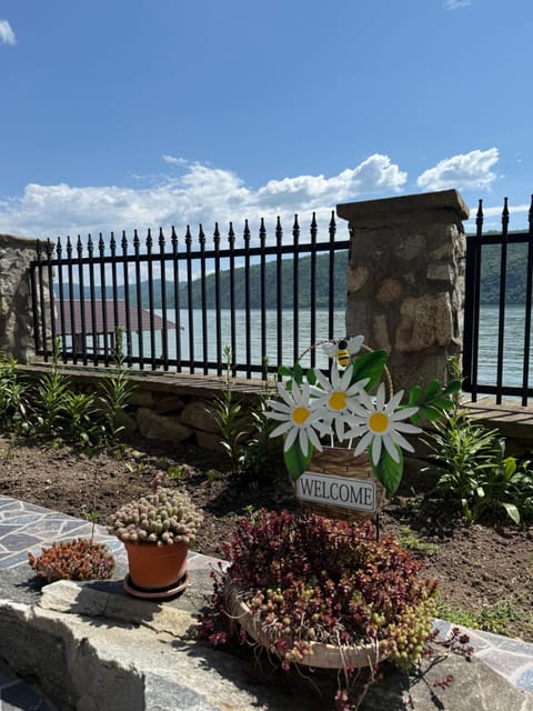 Pensiunea Iulia Bed and Breakfast in Serbia