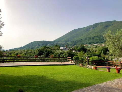 Natural landscape, Garden, Mountain view
