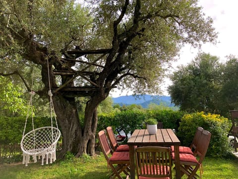 Natural landscape, Garden