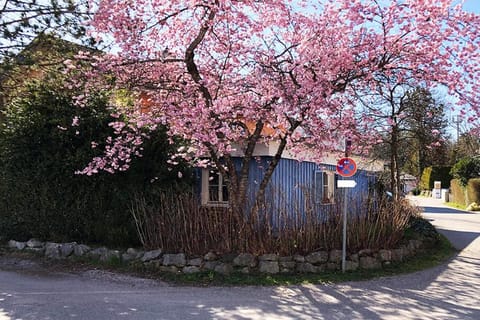 Spring, Street view