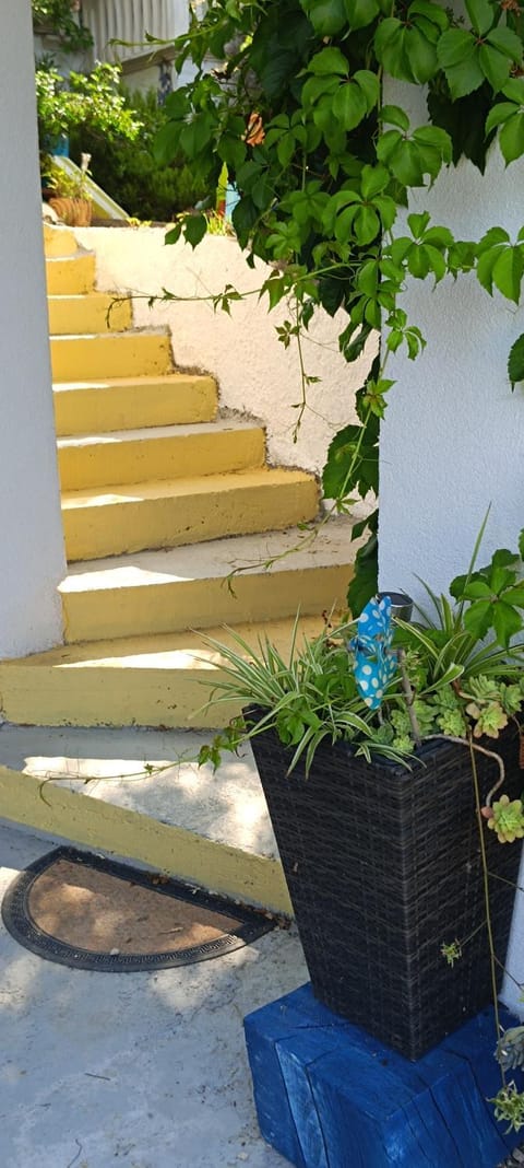 Drescher Apartments Apartment in Murter