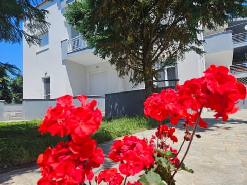 Nias Apartments 103 Apartment in Thasos