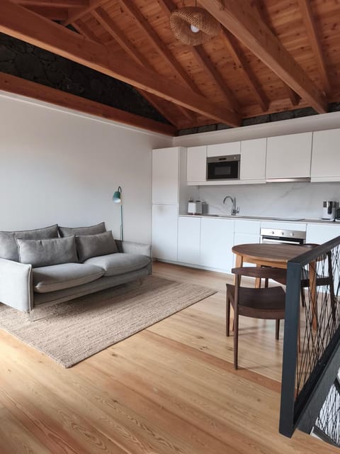 Kitchen or kitchenette, Living room, Seating area, Dining area, oven, stove