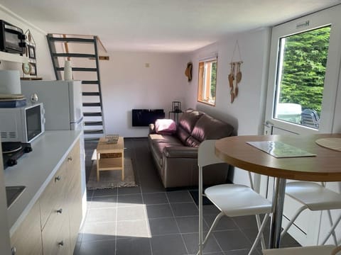 TV and multimedia, Kitchen or kitchenette, Living room, Seating area, Dining area