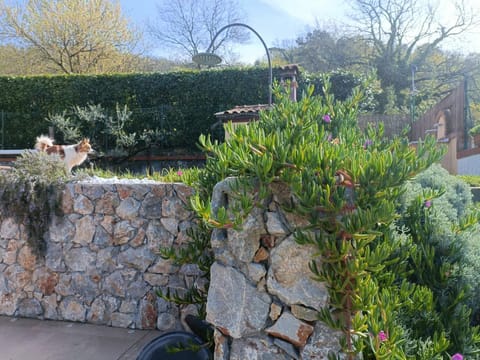 Di Luna e Di Sole Bed and Breakfast in Sarzana