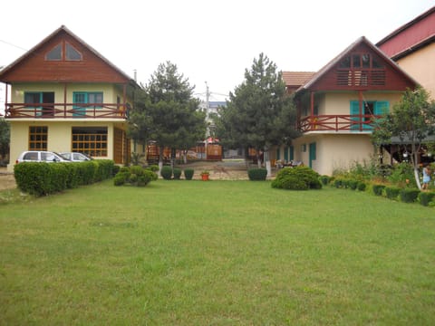 Property building, Day, Garden